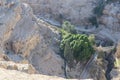 The Judean Desert Israel. Royalty Free Stock Photo